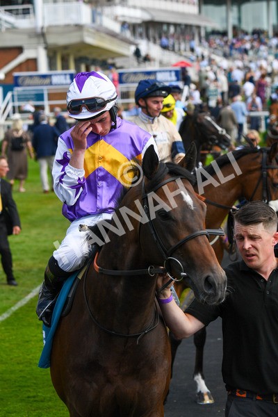 270523-Race 6-Quantum Impact-0853 - Race 6 4.25pm Royal Yorkshire Regiment Handicap