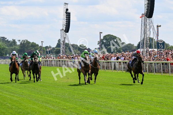 280625-Race 3-Squealer-0198 - Race 3 3.00pm Al Basti Equiworld Dubai Dash Handicap