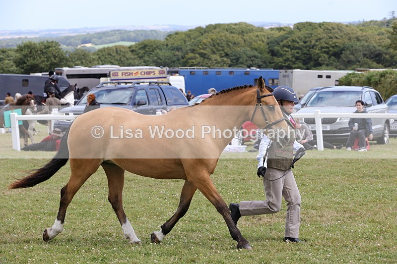 1X9A4918 - Class 35: Veteran In Hand