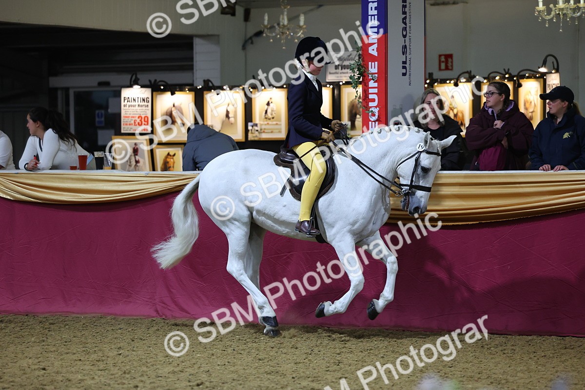 0B8A4588 - Class Q Style & Performance Champ