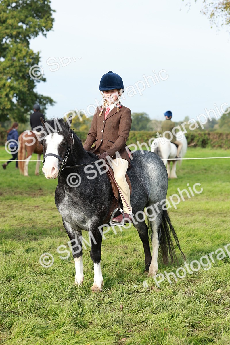SBM_56437 - S39 - Starters In Hand Showing