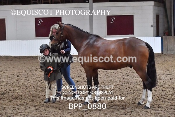 BPP_0880 - RING 1