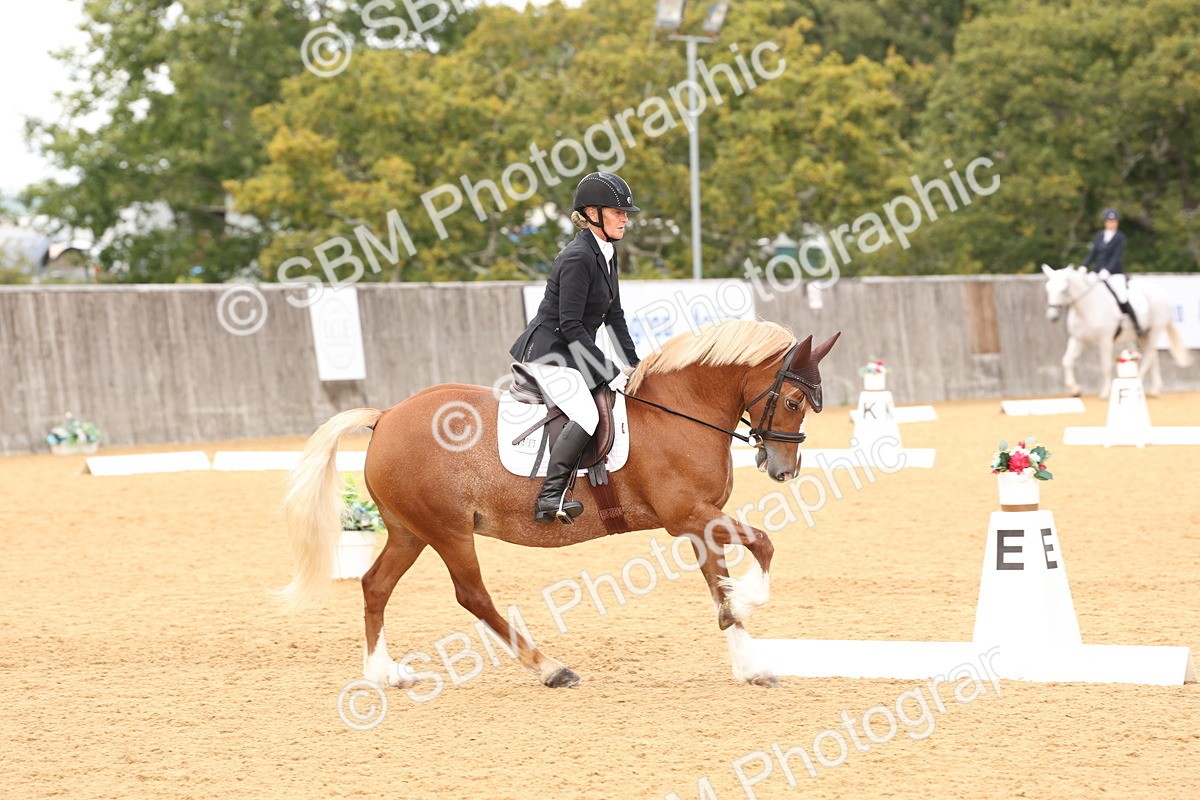 SBM_19526 - D10 - Small Tour Championship Prelim 2