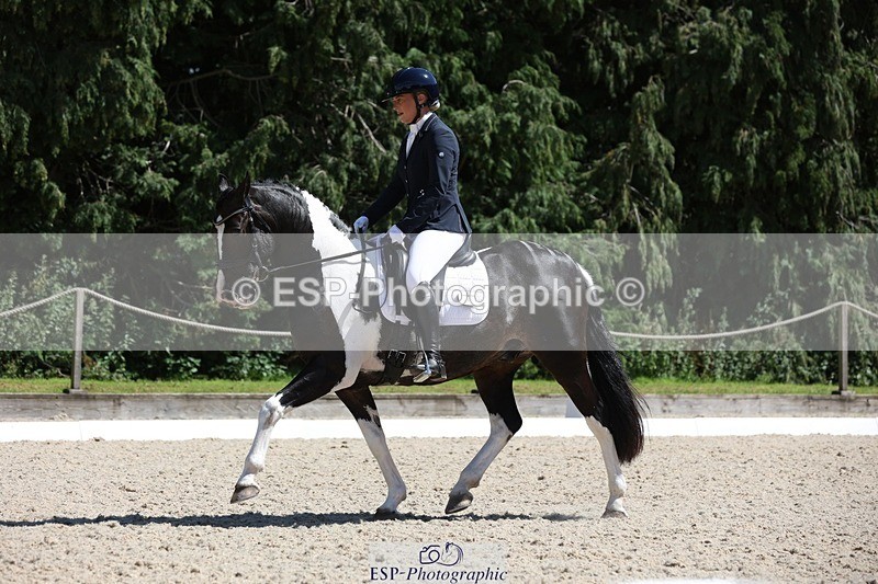 230811-141142-01982 - Cls 1 Prelim Bronze 13.30 to 14.50 break