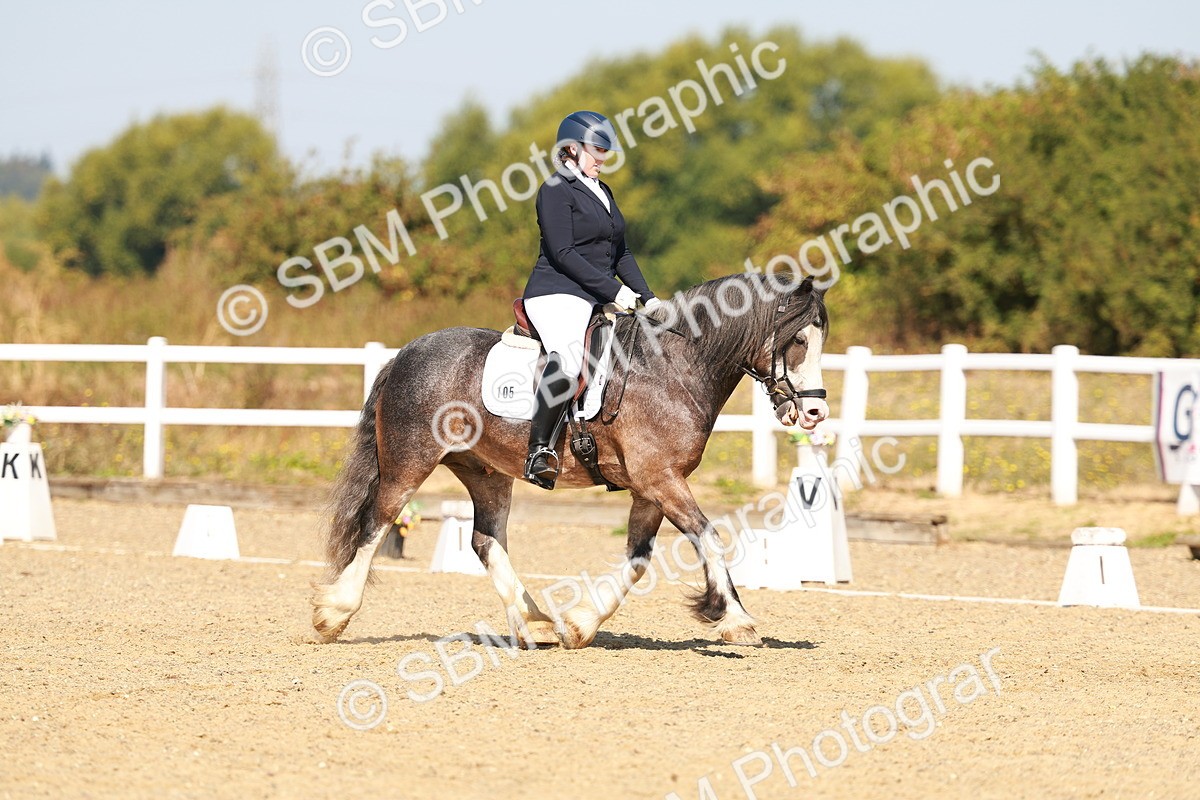 SBM_017791 - Class 9 - N5 Bronze 10.33.11.36
