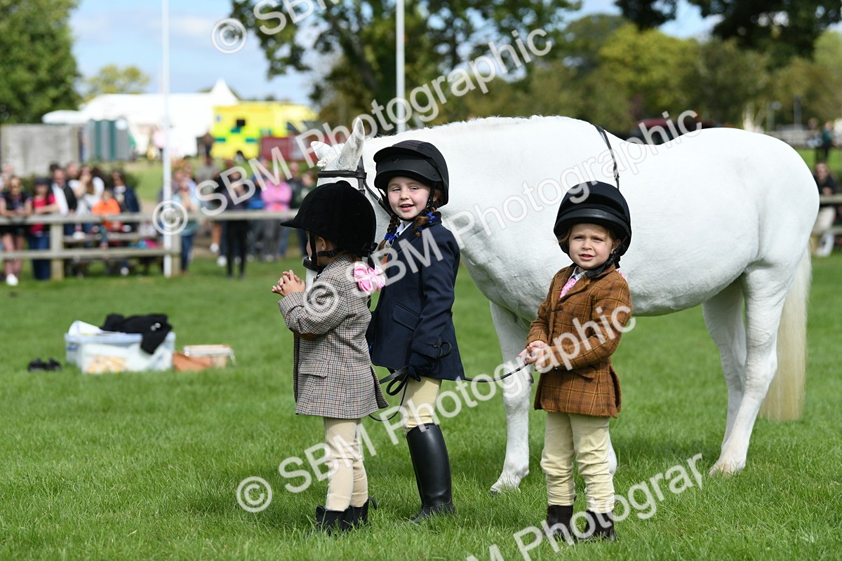 SBM_46809 - S12 - Family Horse & Pony