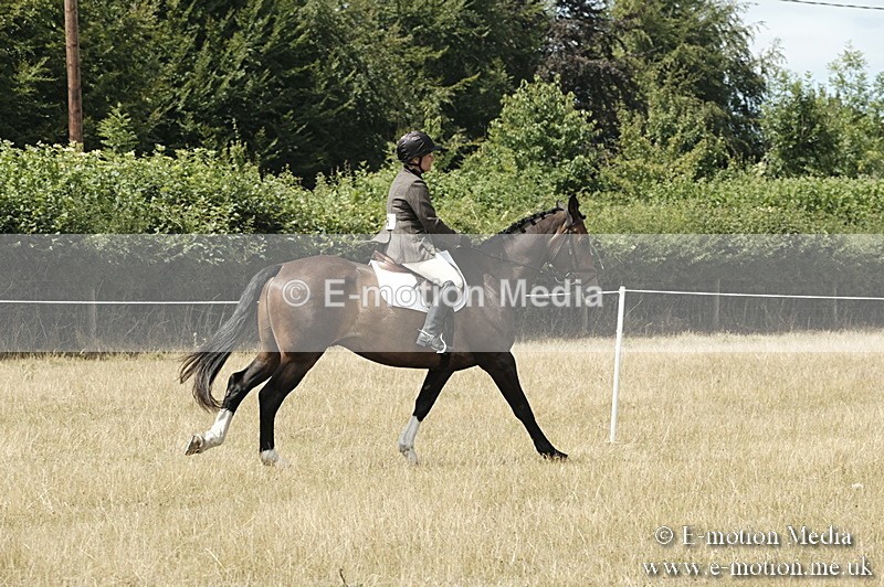 _PJP6008 - BVRC Show 2018 Ring 1