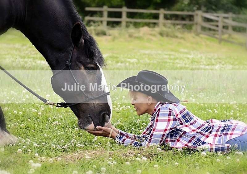 _DSC1794b - Equine Photography