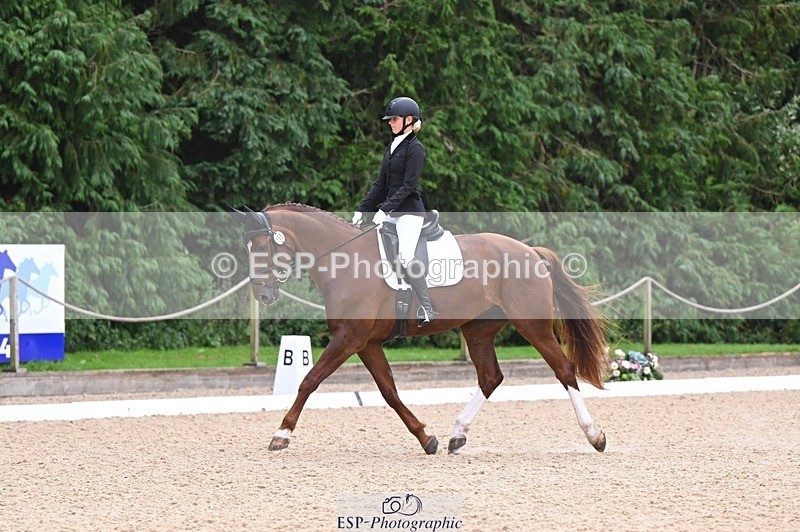 240809-121657-00726 - 185-Daisy.Hedges-Felicia.v