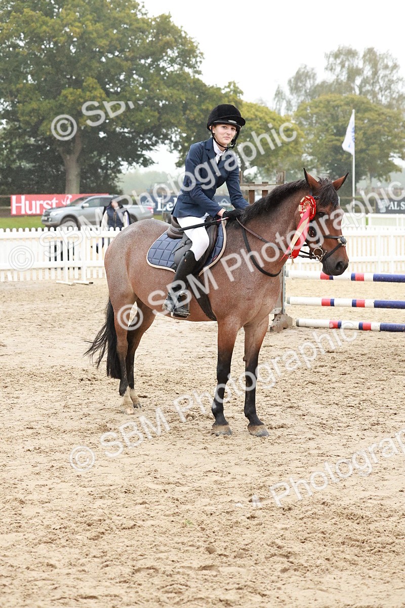 SBM_73544 - Supreme Championship Junior Pony 60cm & 65cm