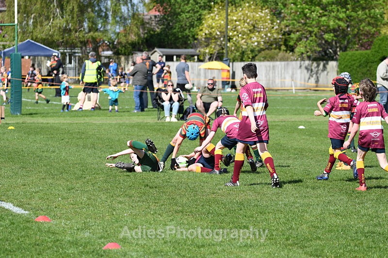  - Selby Rugby Festival 2025