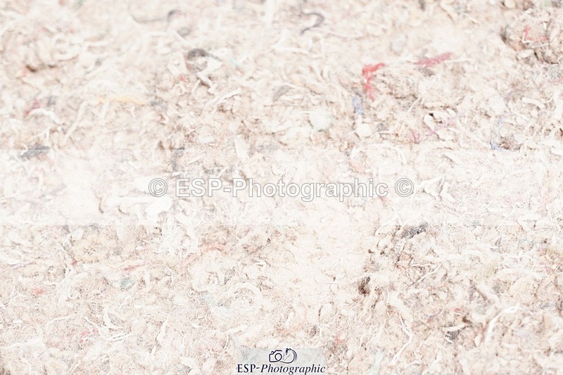 250505-120520-04285 - Cls 18+19 Club and Schools 60cm