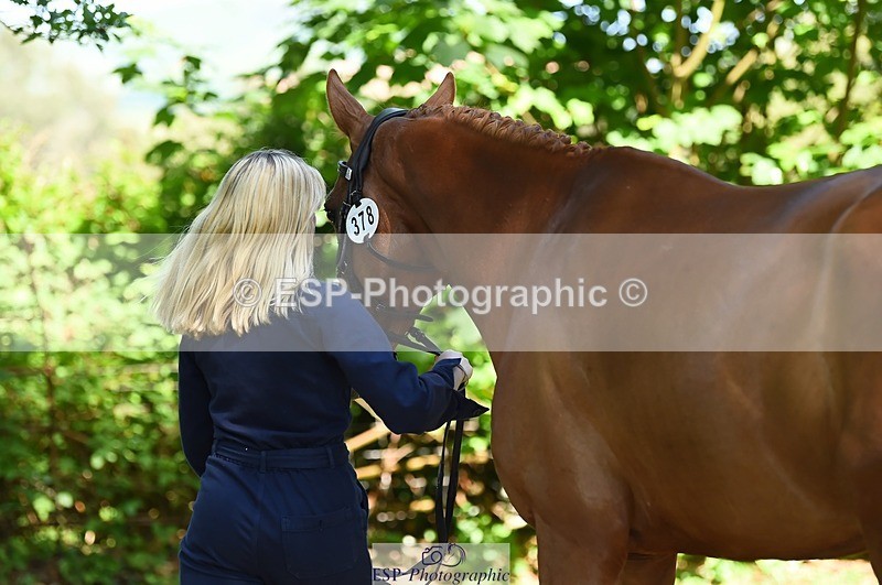 230524-154944-00529 - 378-CLASS_SPEC-Susie_Eddis-WEDTrotUp+DR