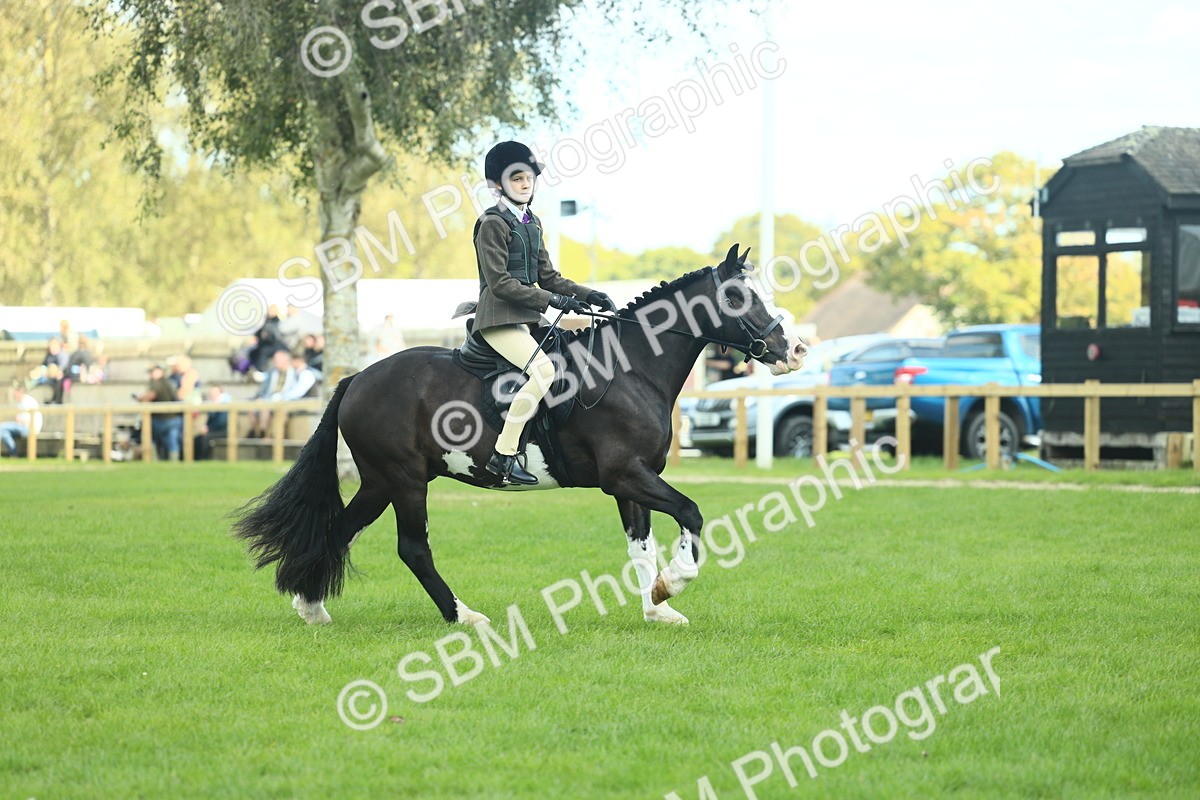 SBM_42008 - S29 - Novice & Newcomers Working Hunter Pony