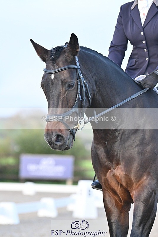 231105-160717-04024 - Cls 4 Novice 24 15.24 to 16.35 break