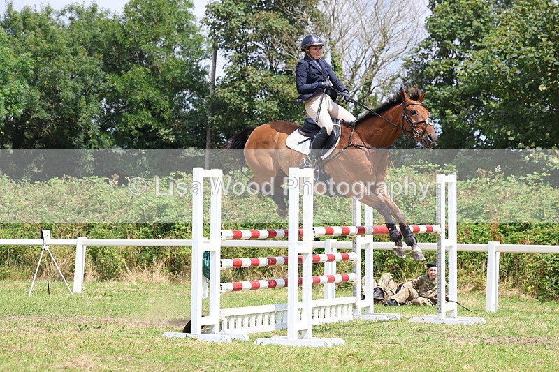 3E7A3414 - Class 10: Senior Foxhunter/1.20 open