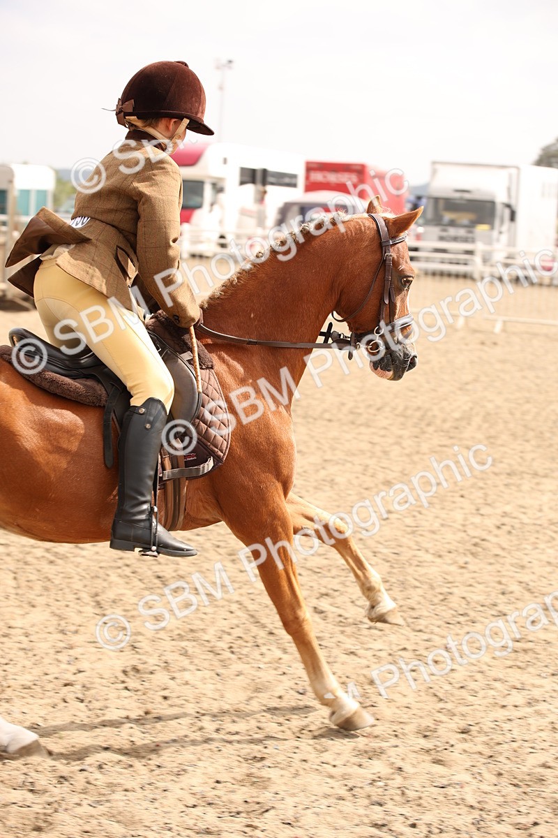 SBM_12621 - Class 405b - M&M Working Veteran 50cm 20+