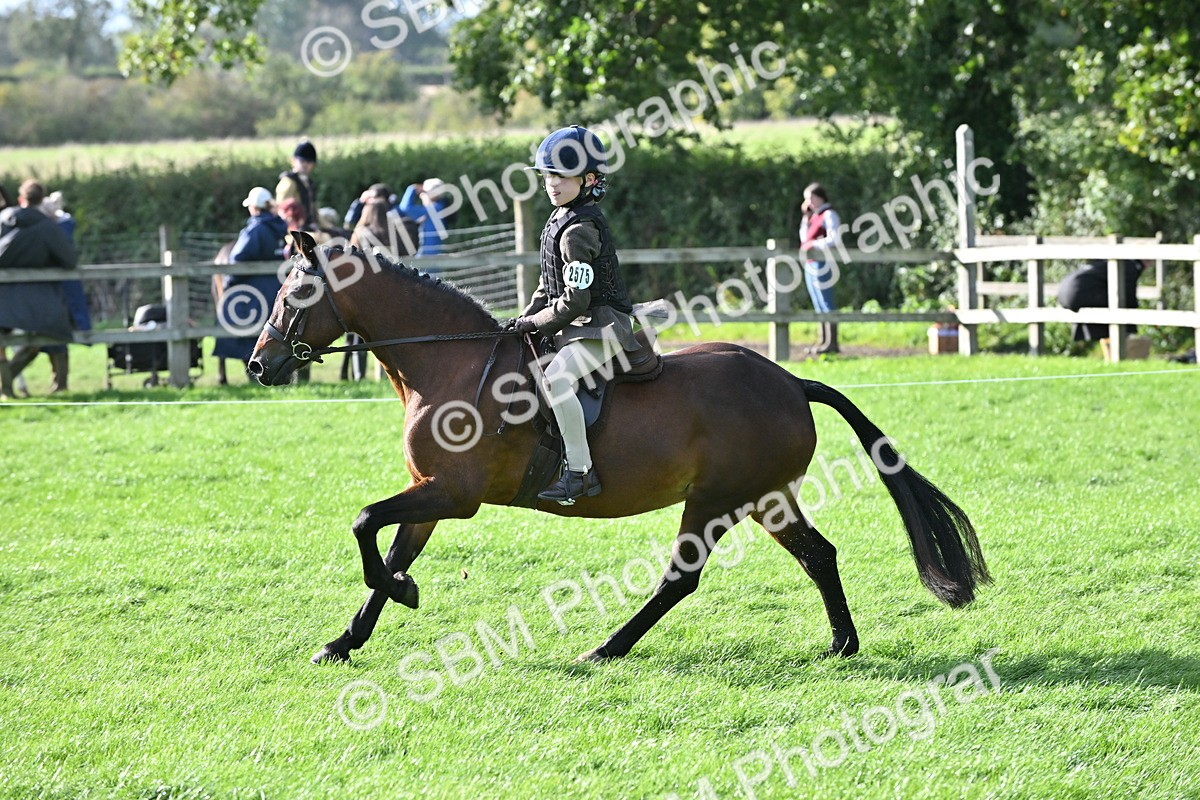 SBM_51269 - S22 - First Ridden show and show Hunter Pony