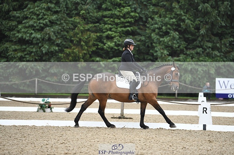 240720-110213-04151 - 196-Paula_Tippett-North_Country_Knight