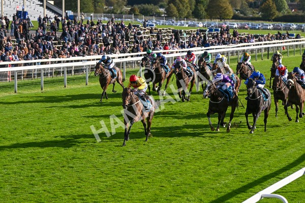 111024-Race 5-Vince LAmour-1986 - Race 5 3.45pm Copper Knight - Winning Most Horse At York Handicap