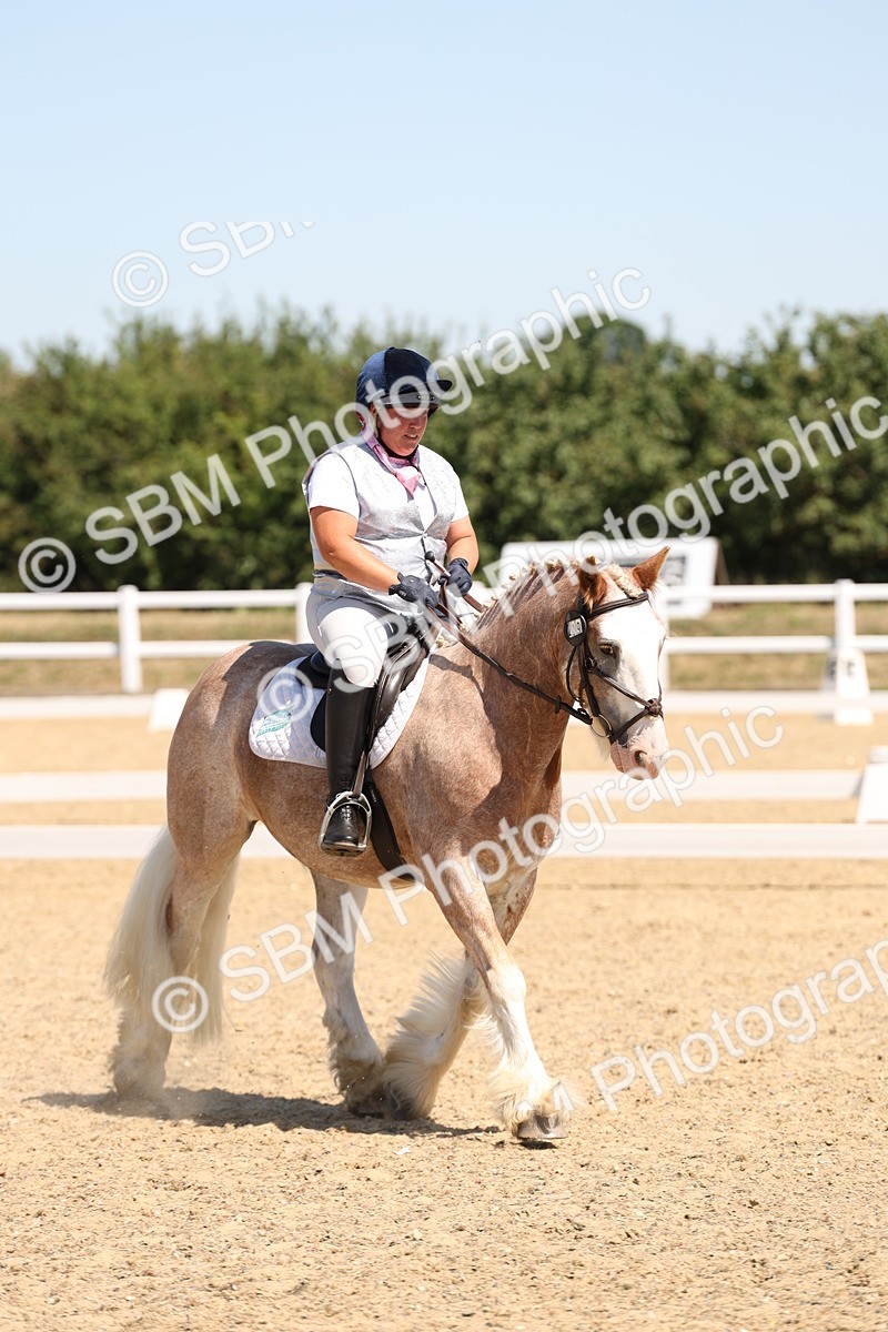 SBM_001283 - Intro 2