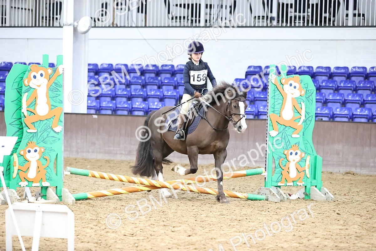 SBM_000232 - Class 2 - The Rug Lady 40cm Area 12 Championship Qualifier