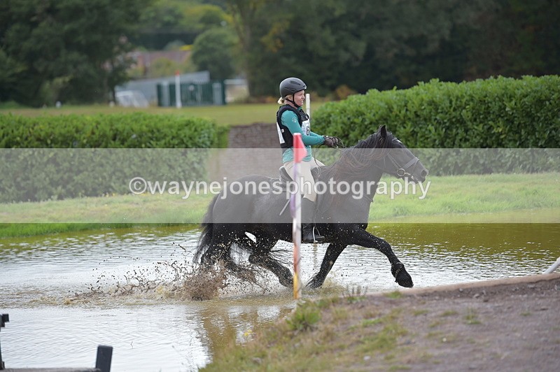 NGP_2816 - XC Time 11:37 to 11:57