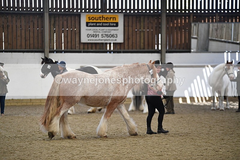 WJ5_4754 - Class 7 In hand coloured / odd coloured