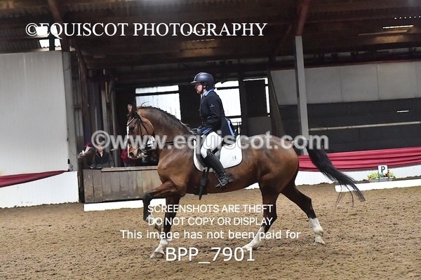 BPP_7901 - AM TEST 5