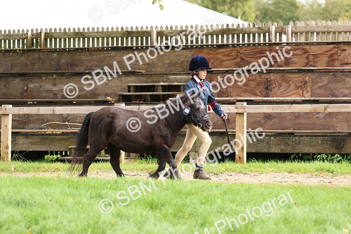 SBM_40716 - S25 -  Veteran In Hand