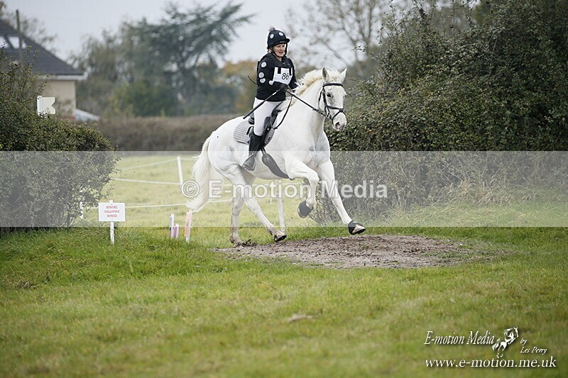 WWHT 181020 WWHT 181020 878 - WWEC Novice Pairs (0.80m) 18/10/20