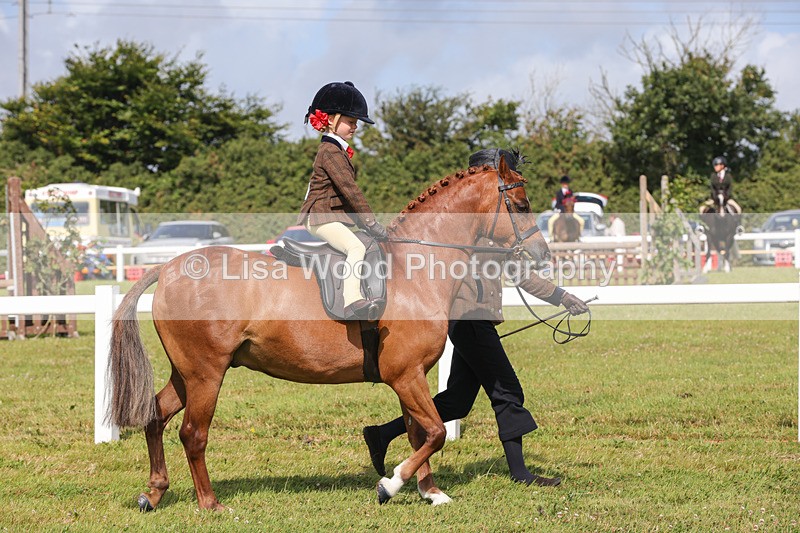 1X9A3623 - Class 29: Lead Rein SP/SHP