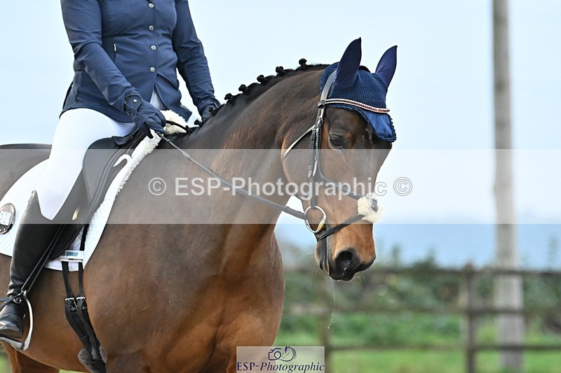 241103-155557-03277 - Novice 1 - 14.44 to 16.08