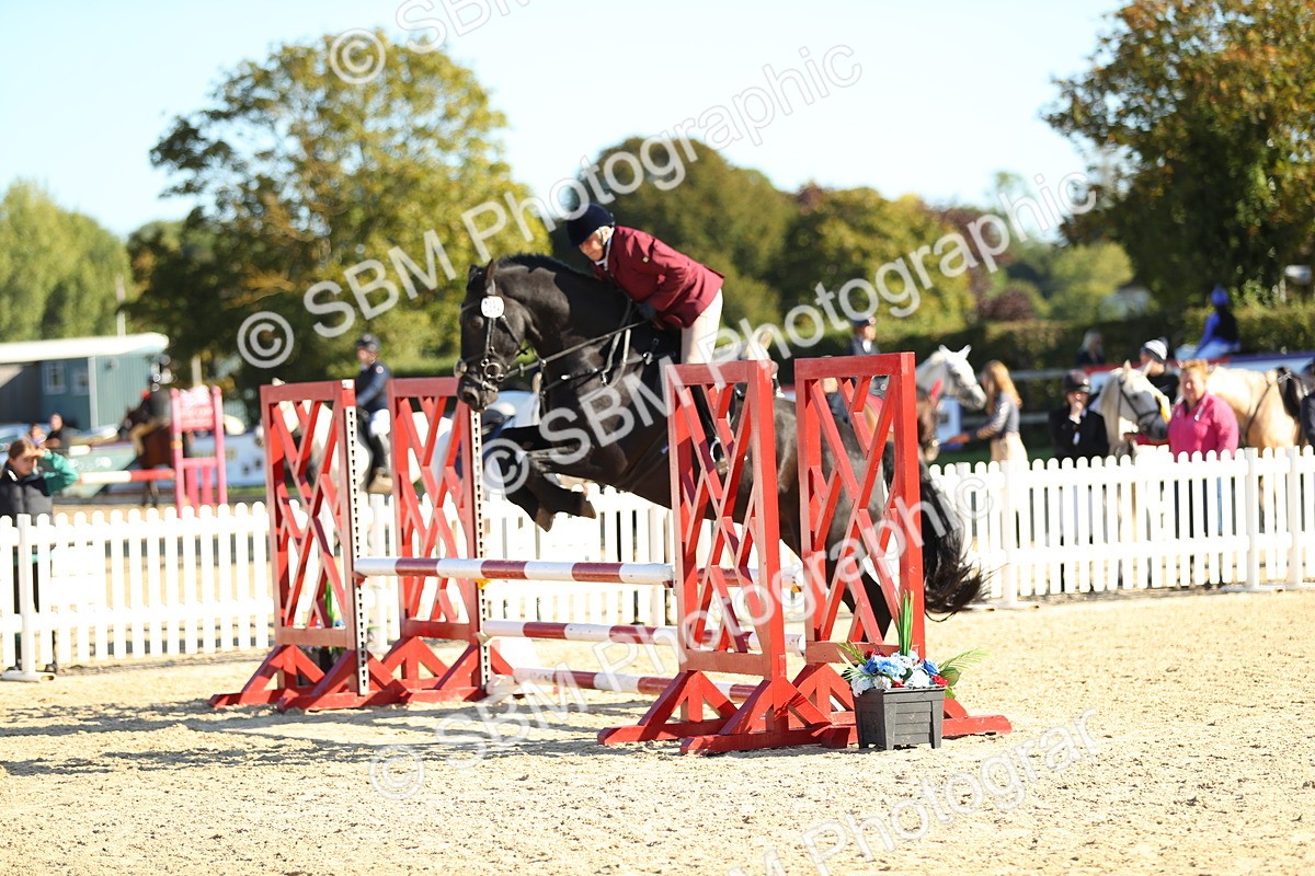 SBM_16608 - J33 - Senior 75cm Championship