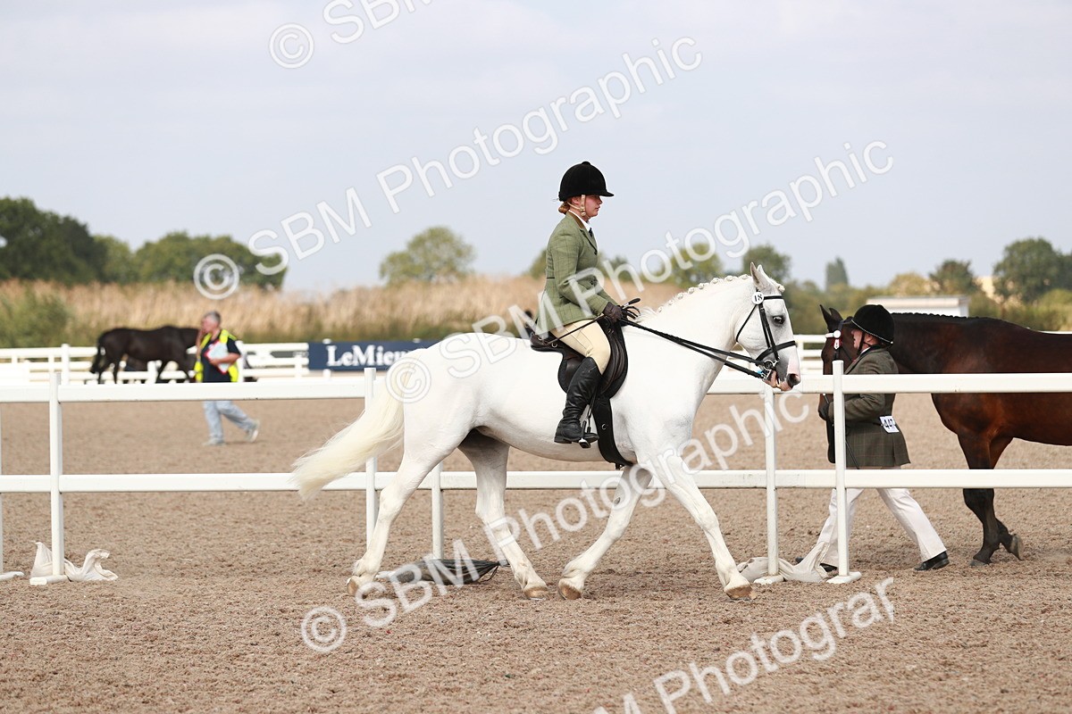 SBM_14806 - Class 212 Ridden Hunter - Small