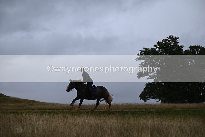 DSC_3295 - Time at Statue 12:59 to 13:49