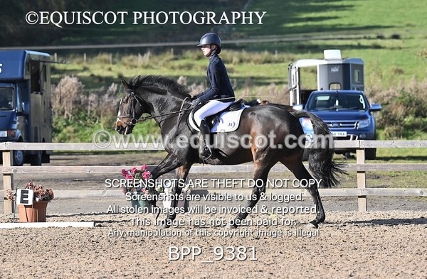 BPP_9381 - SHORT ARENA