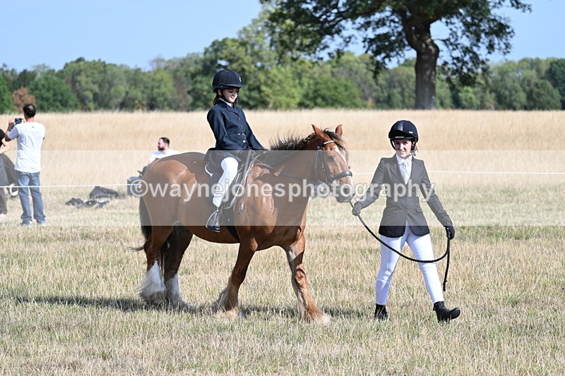 WJ7_2703 - Class 8 Ridden Tack & Turnout