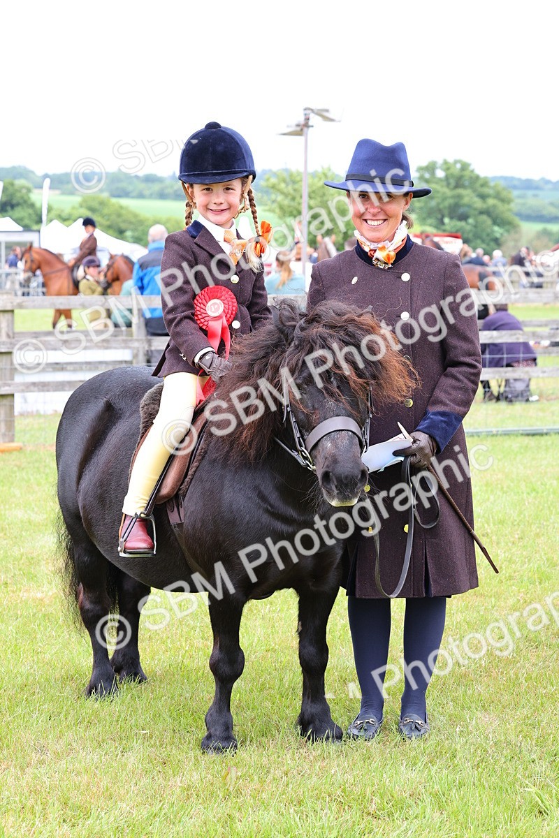 SBM_08353 - Class 42-43 - LIHS BSPS Heritage Working Sports Pony
