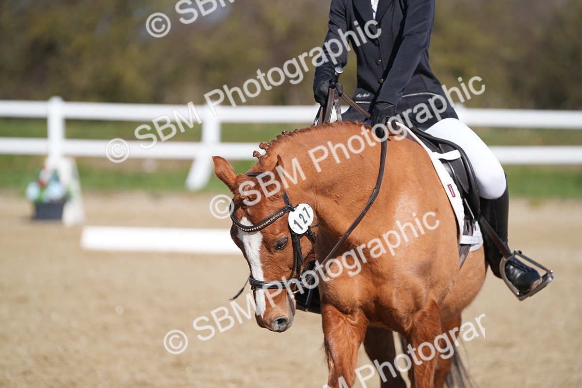 SBM_001981 - Class 3 - P1