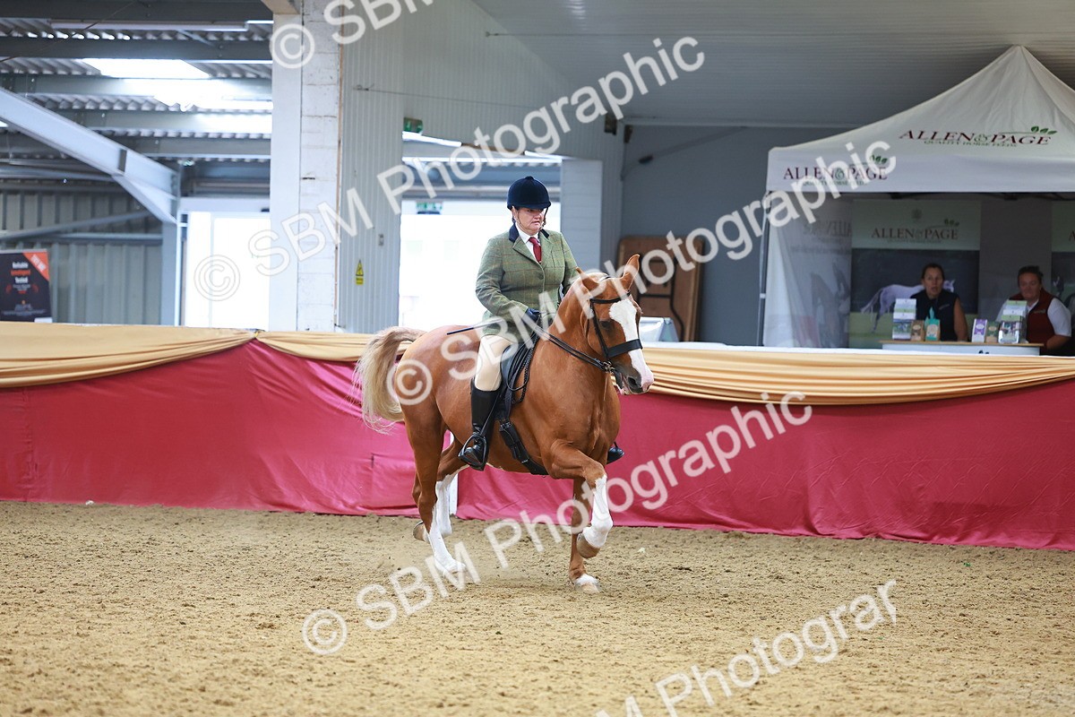 SBM_06108 - Class 12R - Ridden Pre-Vet