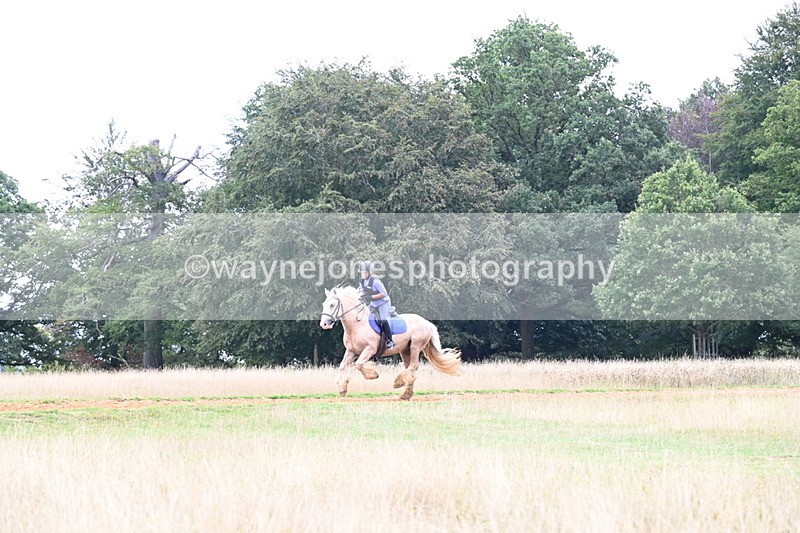 DSC_9492 - Time at Statue 15:11 to 15:58