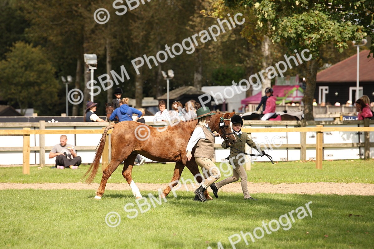 SBM_46350 - S25 - Mature Veteran In Hand