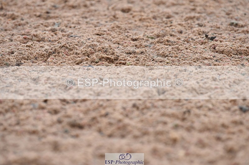 230708A-125300-01797 - Prelim 7