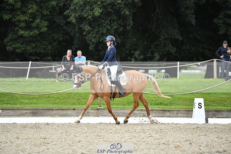 230812-123845-04173 - Cls 6 Novice Silver 12.10 to End