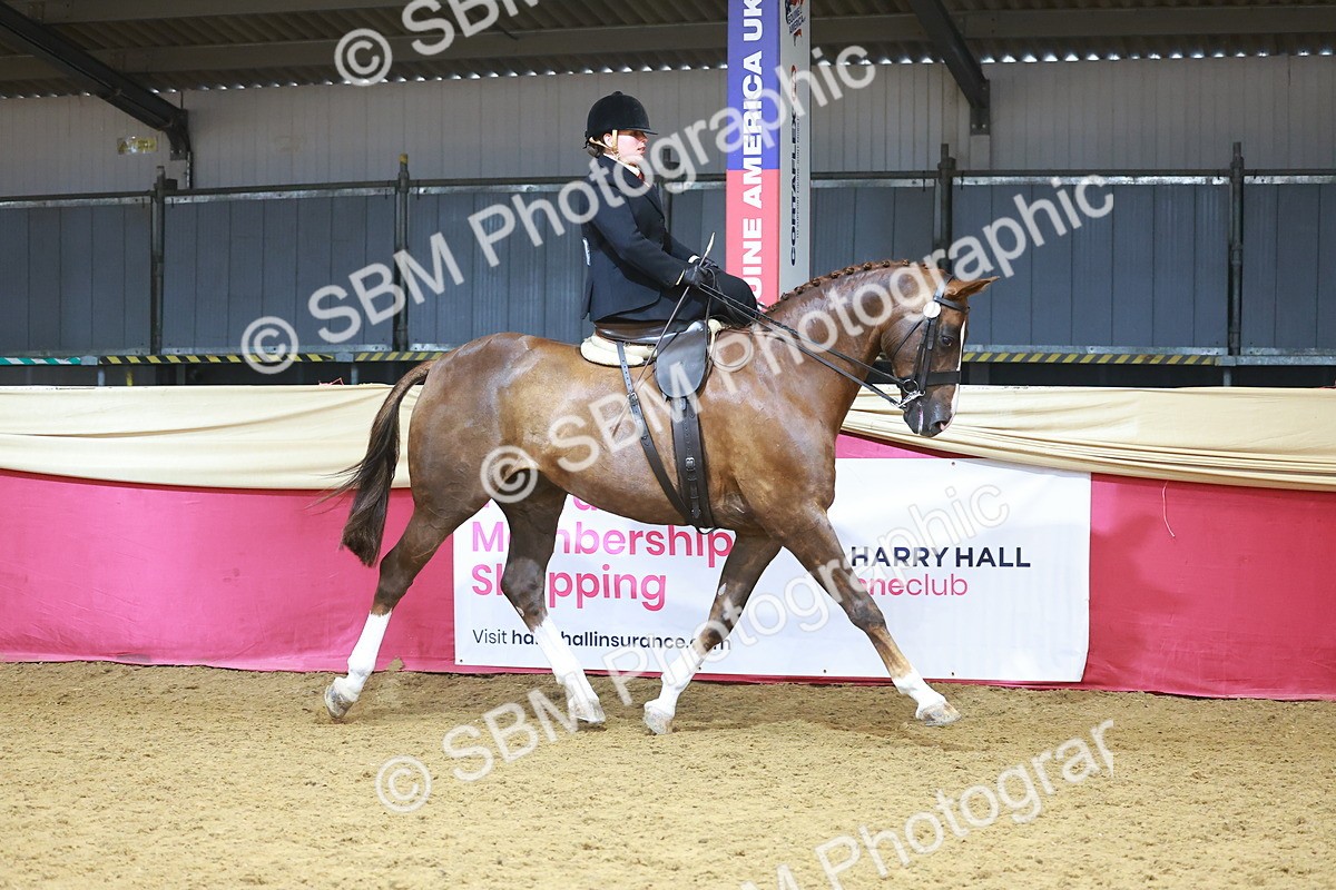 SBM_12470 - Class 103 - HOYS Veteran Qualifier - Ridden Pre Vet