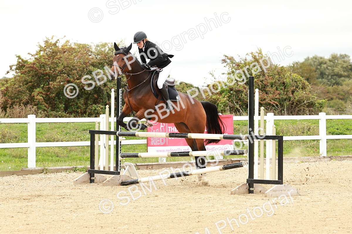 1I0A6799 - Class 2 - Senior British Novice