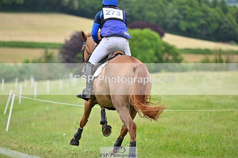 250524A-164708-15077 - C-273-Tim.Cheffings-HEARSAY.LARK.RISING