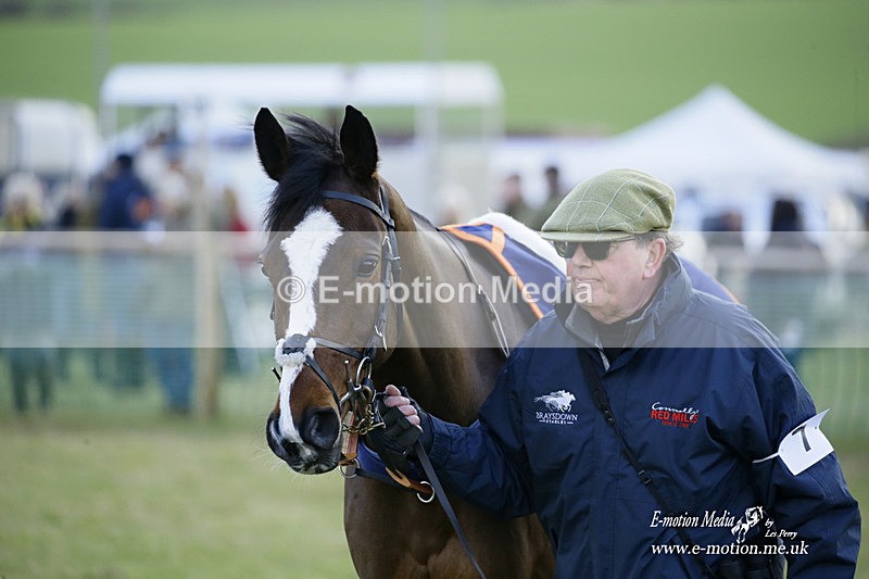 PtP 300122 591 - South Dorset Hunt - Point-to-Point Races 30/01/2022