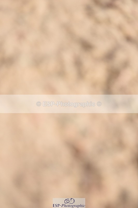 230915A-114420-00344 - Cls 9 British Novice & 90cm Open